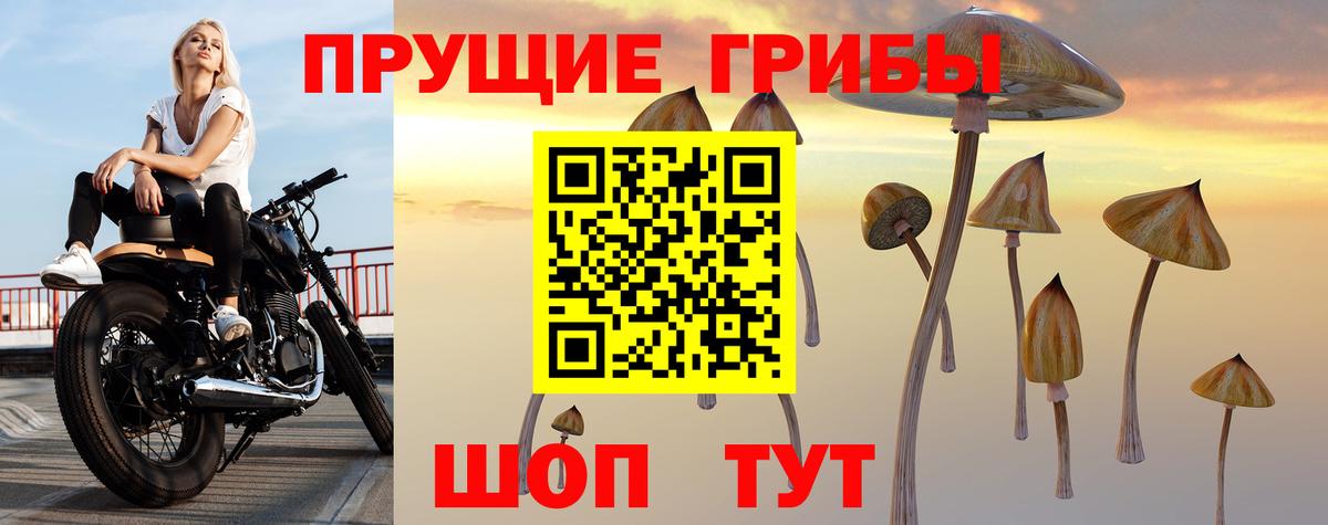 Нижневартовск  Псилоцибиновые грибы Magic Shrooms  Вход с VPN 